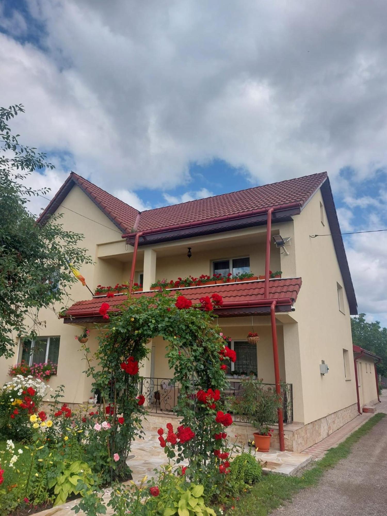 Hotel Steaua Nordului Târgu Neamț Zewnętrze zdjęcie